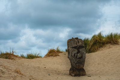 Dead tree on sand against sky