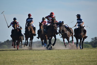 Panoramic view of people riding horses on field