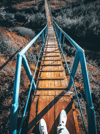 Low angle view of bridge in forest