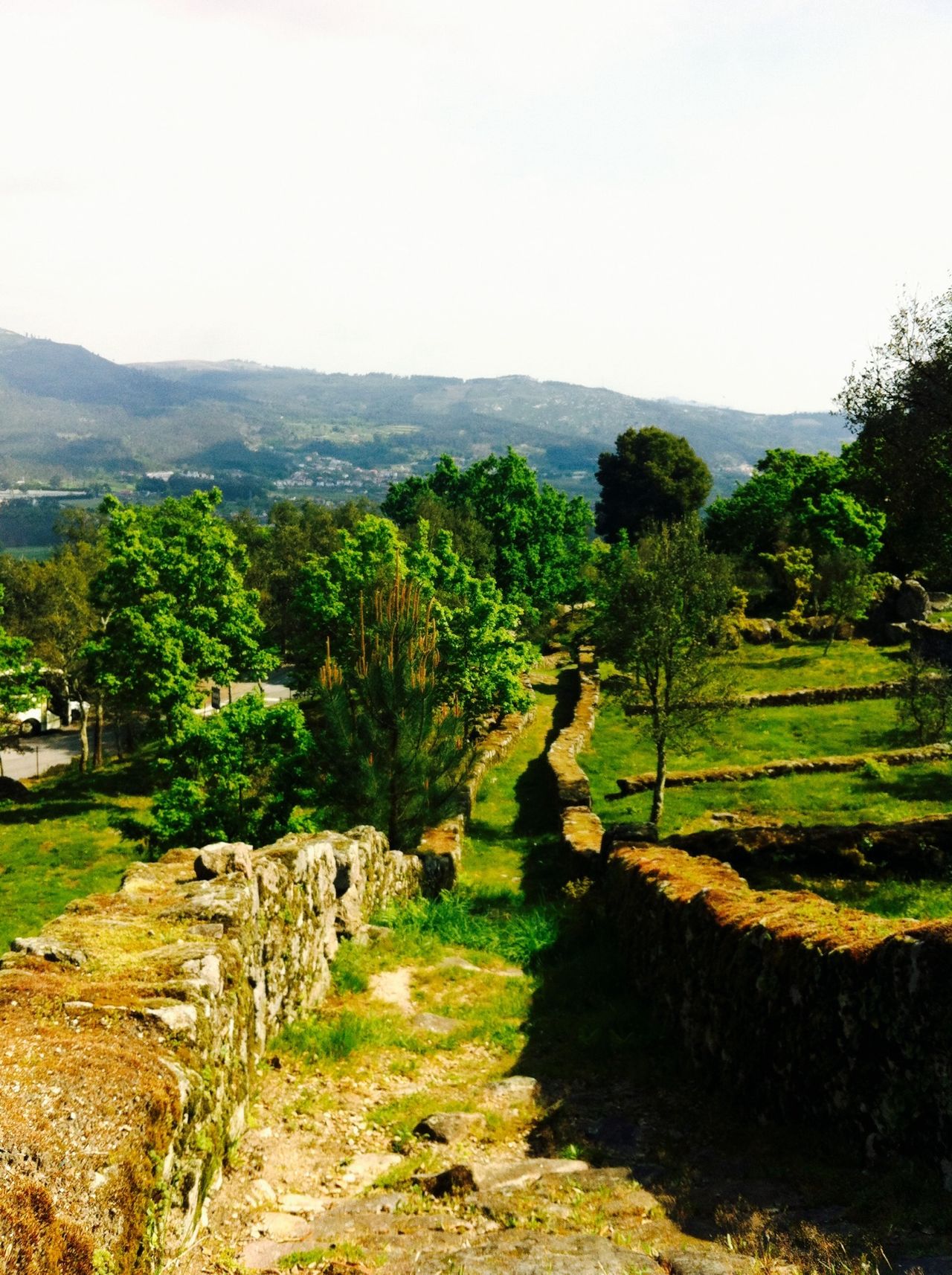 Citânia de Briteiros