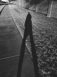 Shadow of people on road