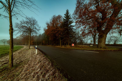 Road amidst trees on field against sky