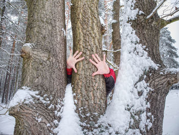 Snow covered tree trunk during winter