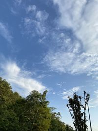 Low angle view of trees against blue sky