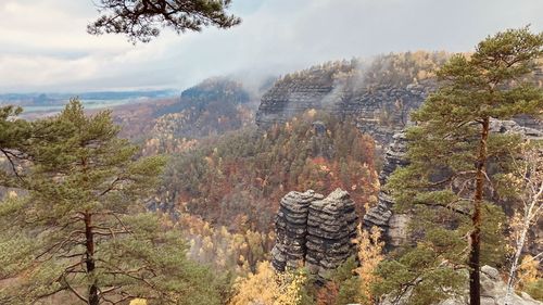 Panoramic view of trees and mountains against sky
