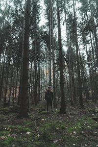 Man standing by trees in forest