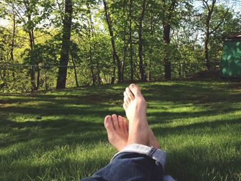 Low section of people relaxing on grassy field