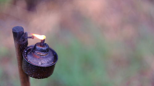 Close-up of lit candles on metal