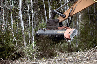 Boat in forest
