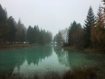 Scenic view of lake by trees against sky