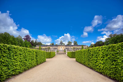 Footpath in garden against sky