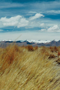 Scenic view of field against sky