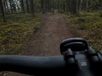 Road amidst trees in forest