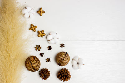 Natural flower, cotton flowers, pine cones over the white background with copy space.