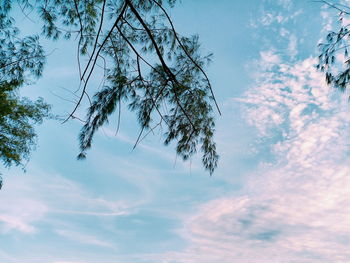 Low angle view of silhouette tree against sky