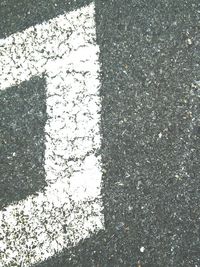 Reflection of trees in puddle
