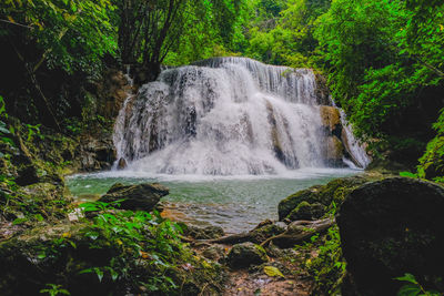 Scenic view of waterfall in forest