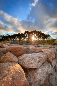 Rocks by trees against sky during sunset