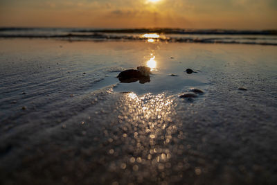 Scenic view of sea during sunset