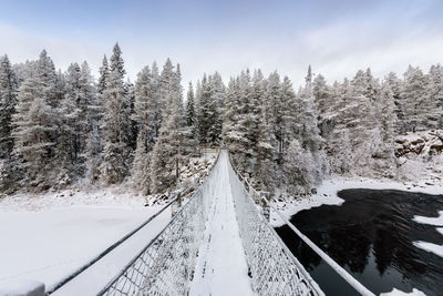 Snow covered land and trees against sky