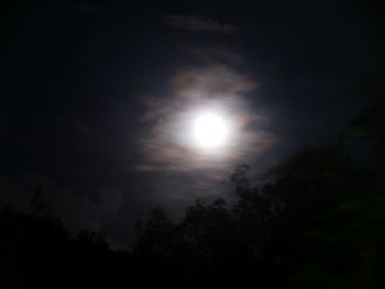 Low angle view of silhouette trees against sky at night