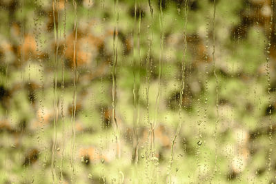 Full frame shot of wet window