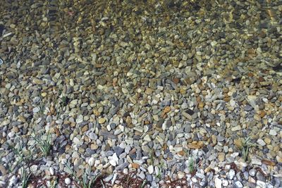 Full frame shot of pebbles