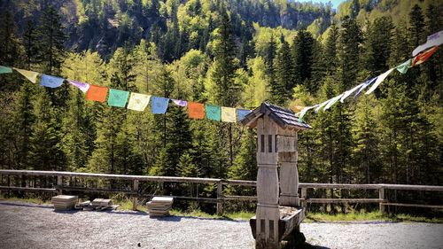 Tibetan prayer flags in forest