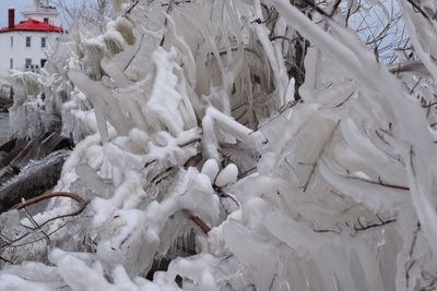 Close-up of snow