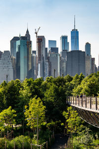 View of trees with buildings in background