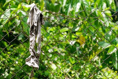 Close-up of barbed wire on chainlink fence