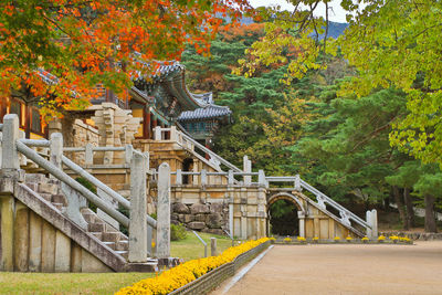 Bridge amidst trees and buildings during autumn