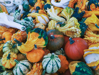 High angle view of pumpkins for sale at market stall