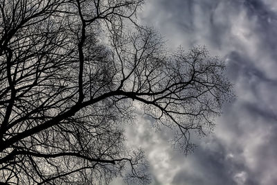 Low angle view of silhouette bare tree against sky