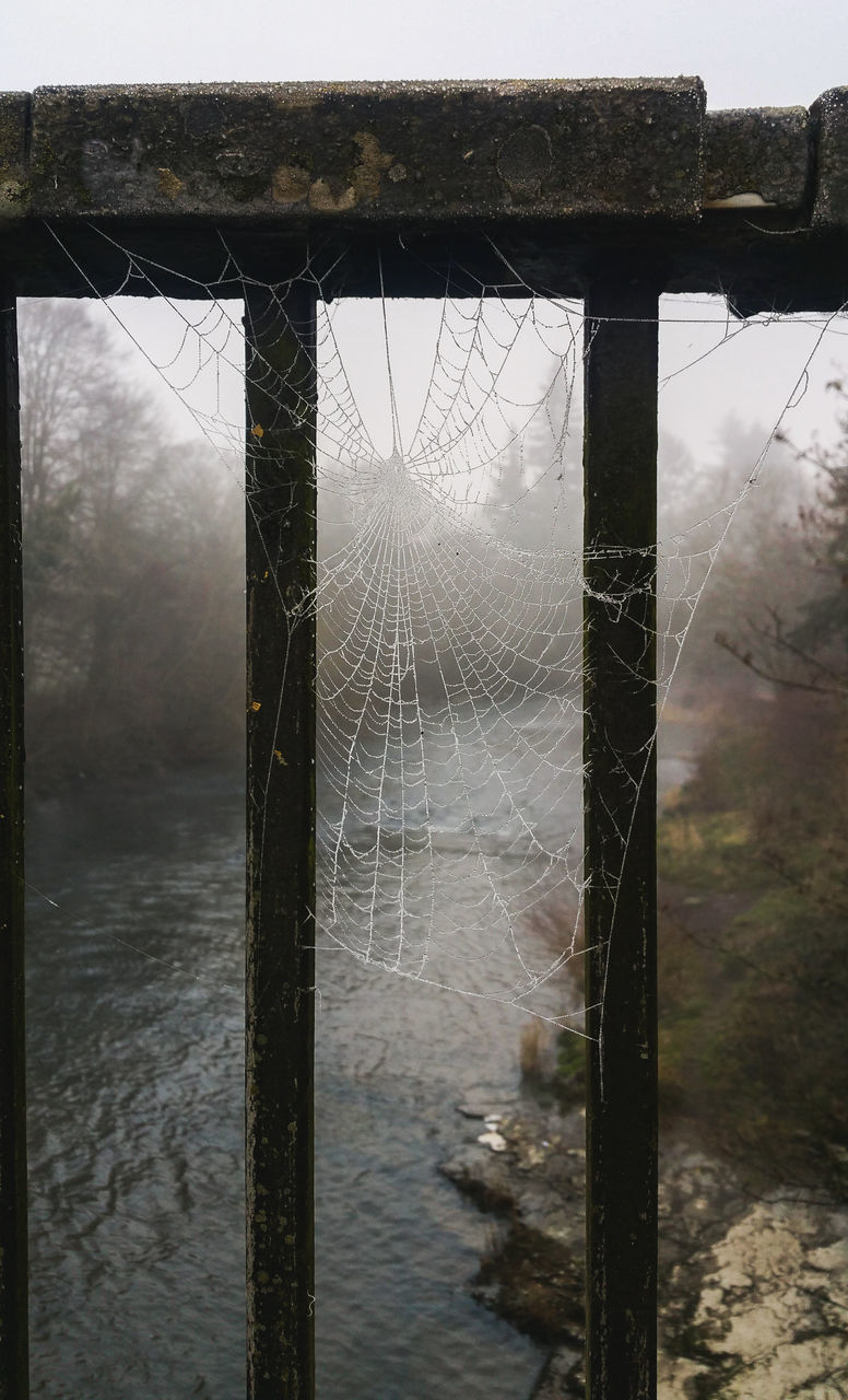 CLOSE-UP OF SPIDER WEB ON METAL FENCE DURING RAINY SEASON