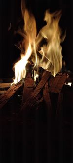 Close-up of bonfire on fire at night