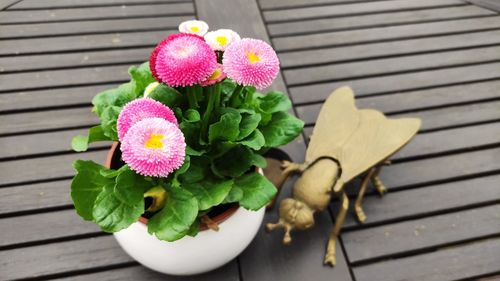 High angle view of pink flower pot on table