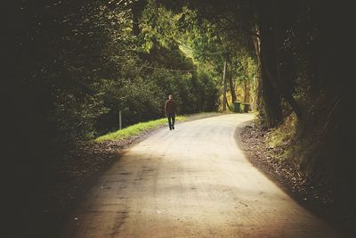 Footpath along trees