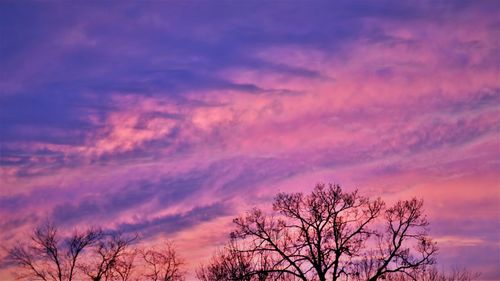 Low angle view of silhouette tree against dramatic sky