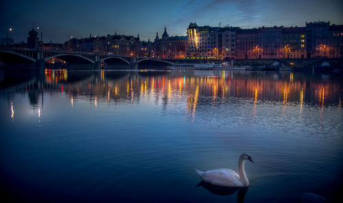 View of birds on bridge over river