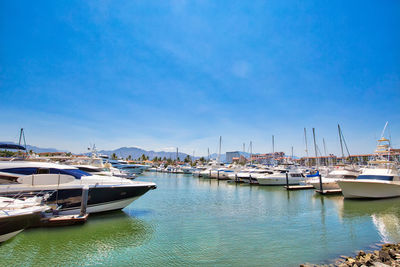 Sailboats moored in harbor