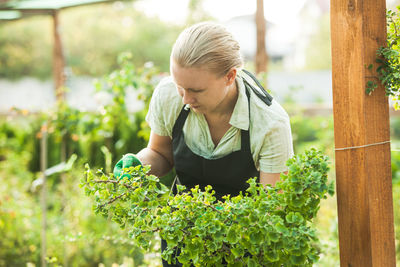 Woman holding a plant