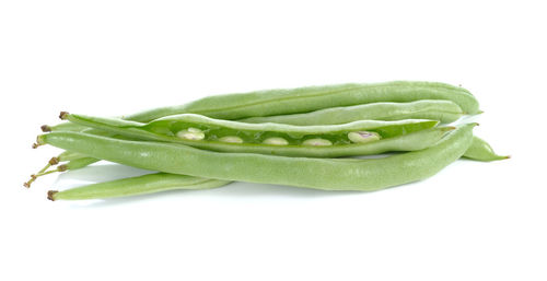 Close-up of green leaf against white background