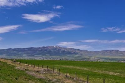 Scenic view of field against sky