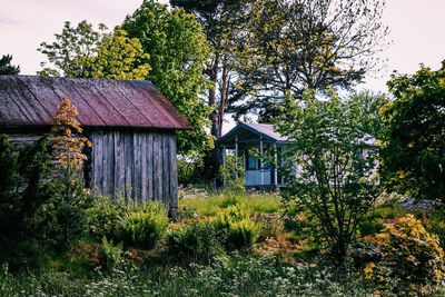 Abandoned house amidst trees on field against sky