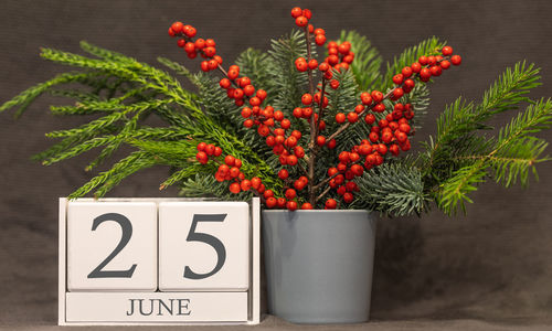 Close-up of red fruits on plant against wall