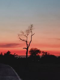 Silhouette bare tree by road against sky at sunset