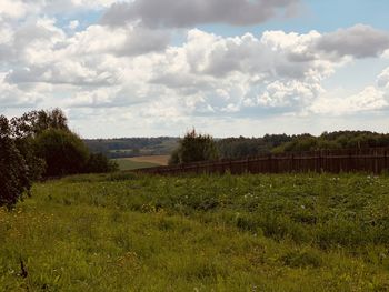 Scenic view of field against sky