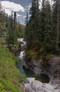 Stream flowing through rocks in forest