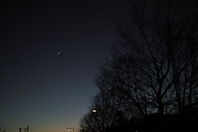 Low angle view of bare tree against sky at night